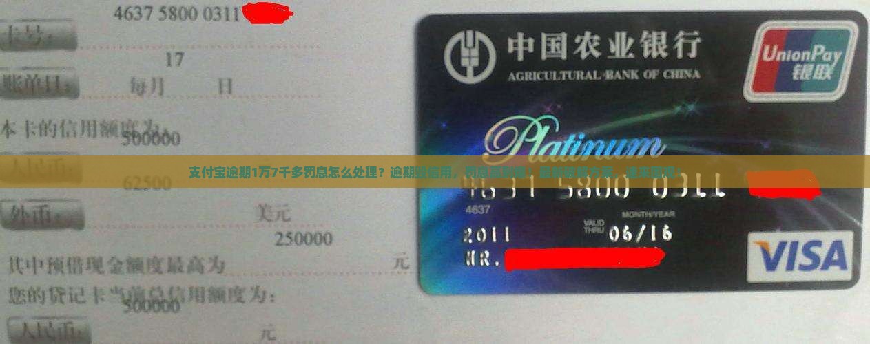 支付宝逾期1万七千多罚息怎么处理