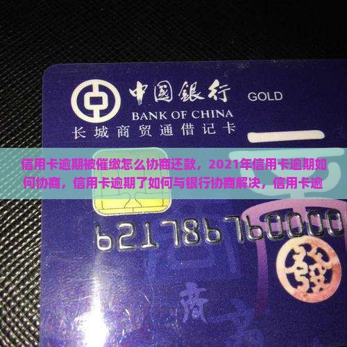 信用卡逾期被催缴怎么协商还款