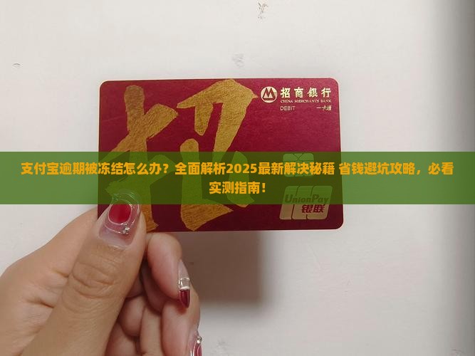 支付宝逾期被冻结怎么解决