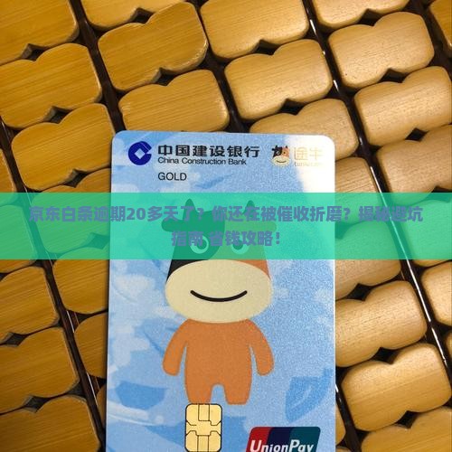 京东白条逾期20多天了