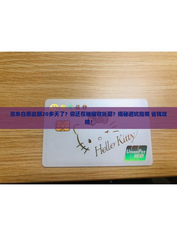 京东白条逾期20多天了