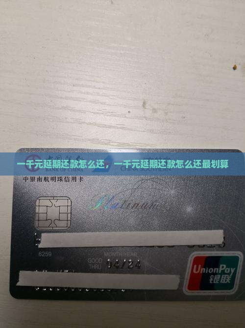 一千元延期还款怎么还