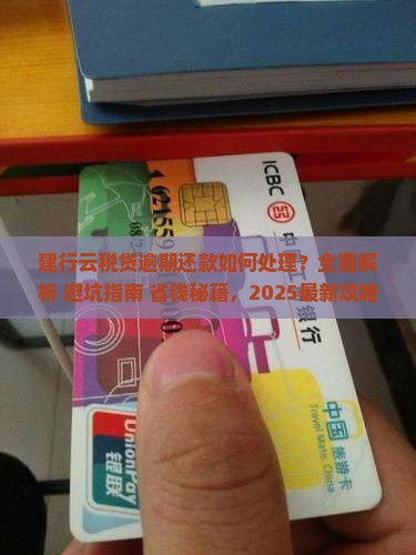 建行云税贷逾期还款如何处理