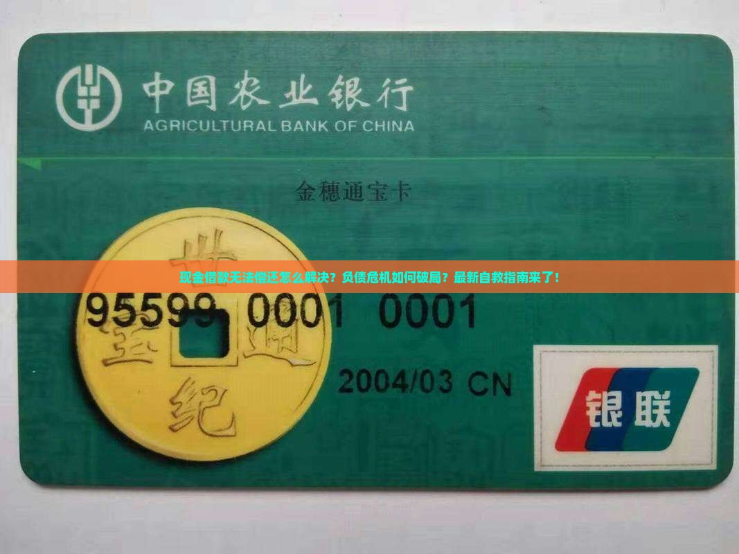 现金借款无法偿还怎么解决
