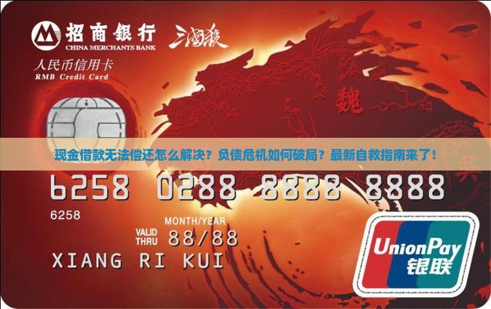 现金借款无法偿还怎么解决