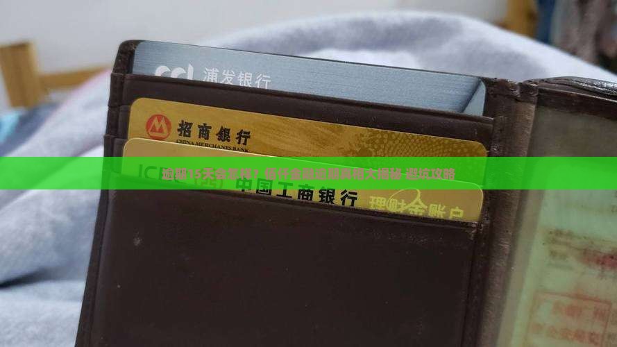 佰仟金融逾期15天的后果有哪些