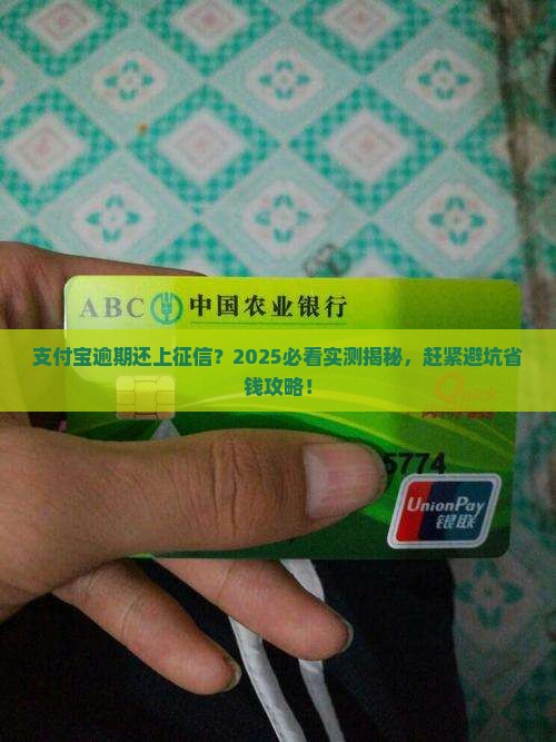 现在支付宝逾期会上征信吗