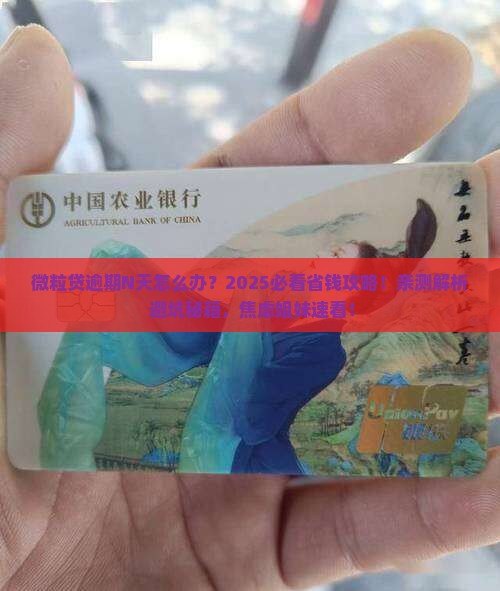 微粒贷逾期了多少天怎么办