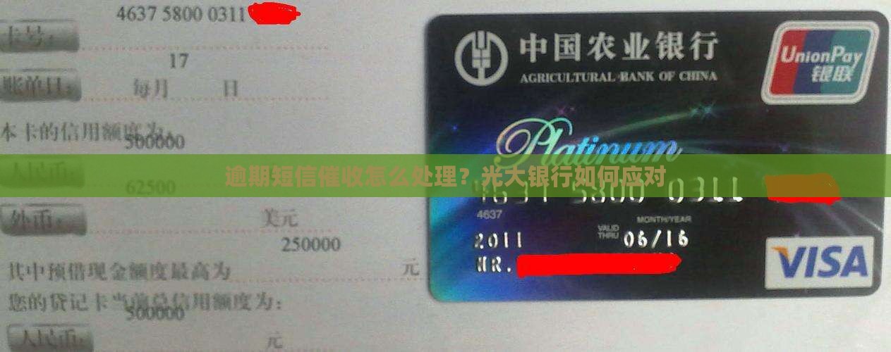 光大银行发短信催收如何应对