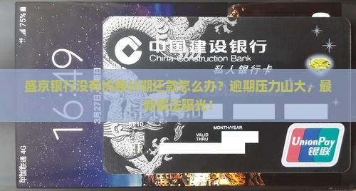 盛京银行没有协商分期还款怎么办