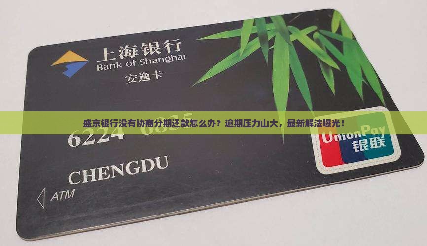 盛京银行没有协商分期还款怎么办