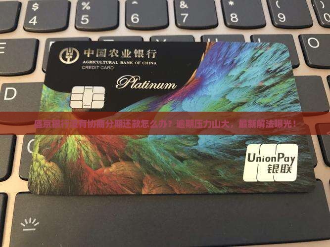 盛京银行没有协商分期还款怎么办