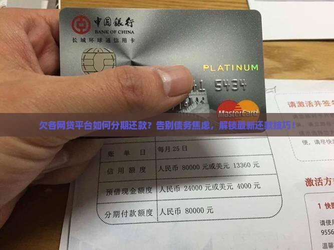 欠各网贷平台如何分期还款