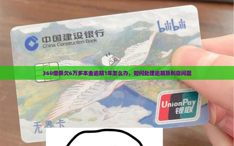 360借条欠6万多本金逾期1年怎么办