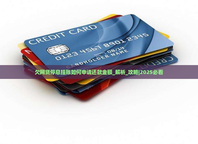 欠网贷停息挂账如何申请还款金额