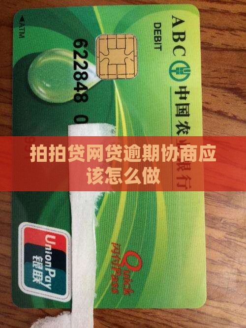 拍拍贷网贷逾期协商应该怎么做