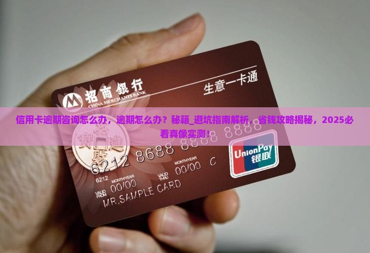 信用卡逾期咨询怎么办