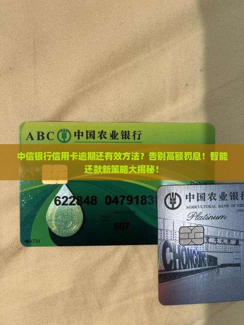 中信银行信用卡逾期怎么还有效方法