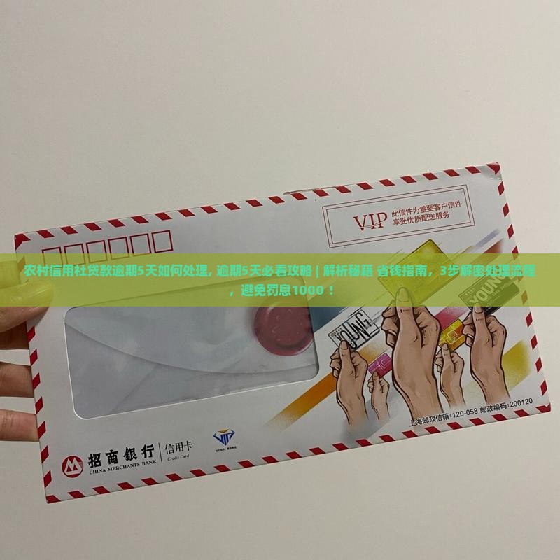 农村信用社贷款逾期5天如何处理