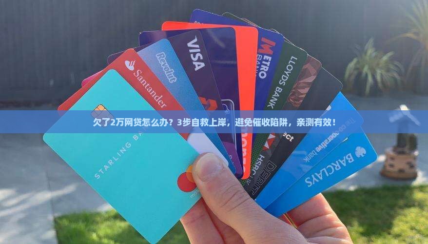 欠了2万网贷怎么办