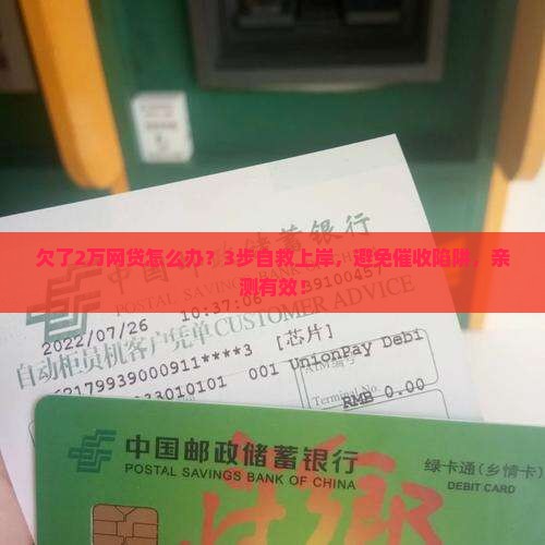欠了2万网贷怎么办