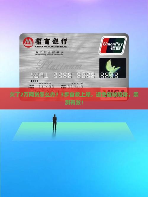 欠了2万网贷怎么办
