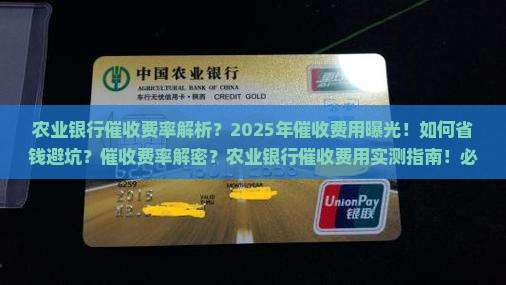 农业银行催收费率是多少