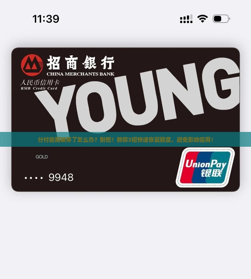 微信分付逾期被停了怎么办