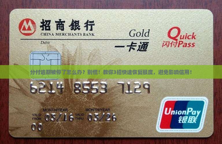 微信分付逾期被停了怎么办