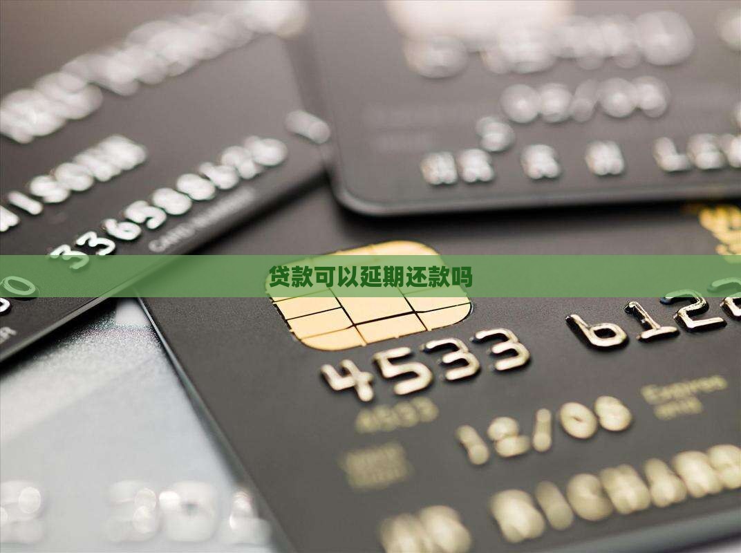 贷款可以延期还款吗