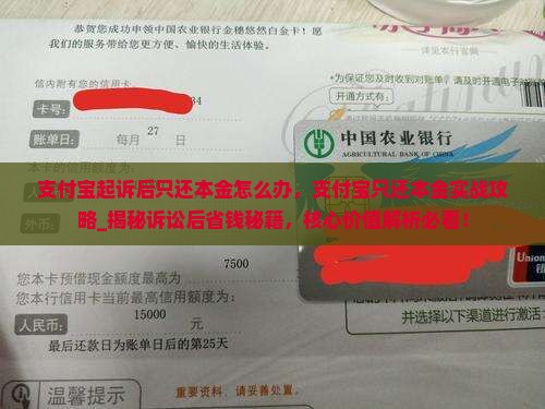 支付宝起诉后只还本金怎么办
