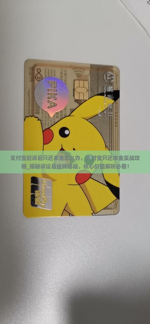 支付宝起诉后只还本金怎么办