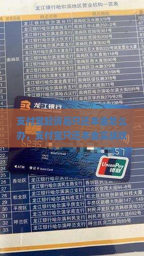 支付宝起诉后只还本金怎么办