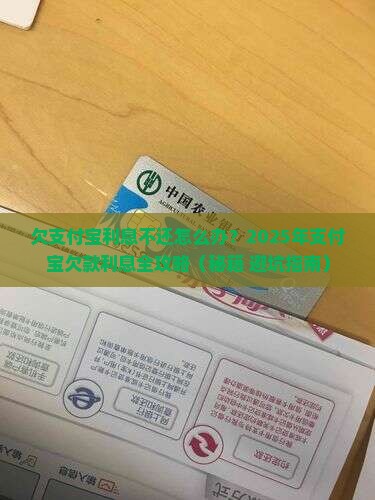 欠支付宝利息不还怎么办