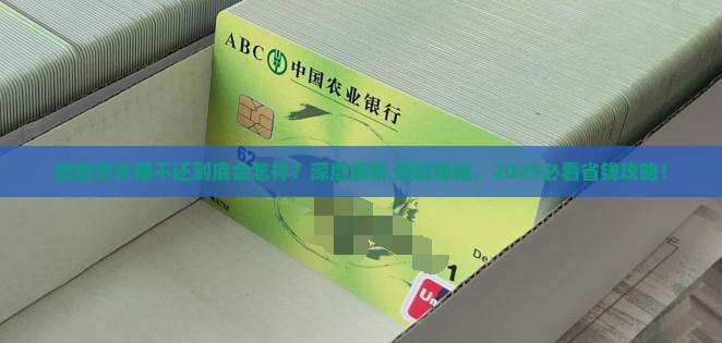 拍拍贷长期不还会怎样