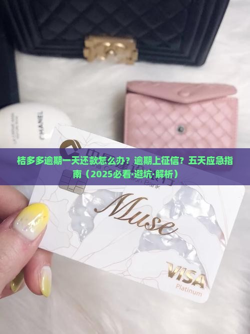 桔多多逾期一天还款怎么办