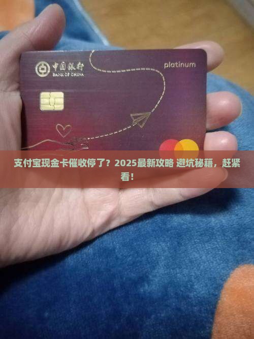 支付宝现金卡停催如何操作