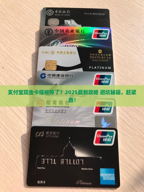 支付宝现金卡停催如何操作