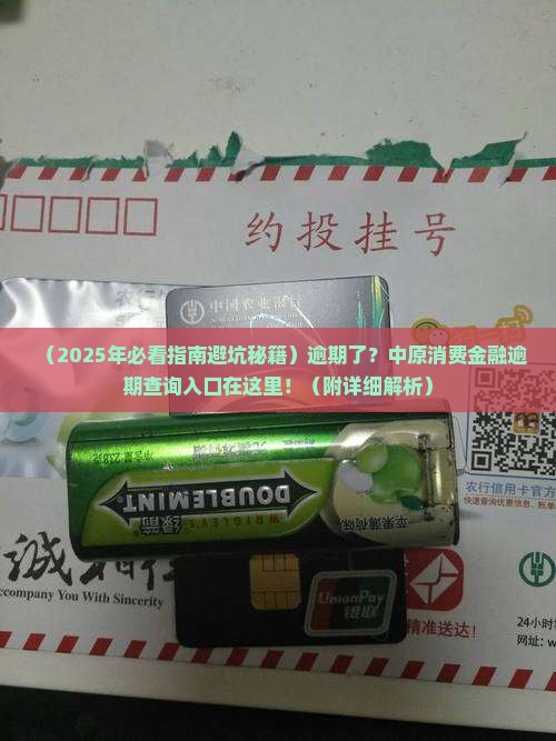 中原消费金融逾期查询入口