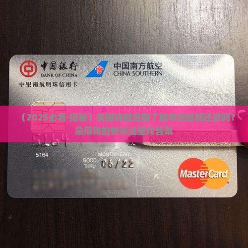 美团钱包可以申请延期还款吗