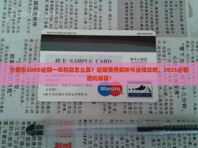 分期乐5000逾期一年利息应该如何计算