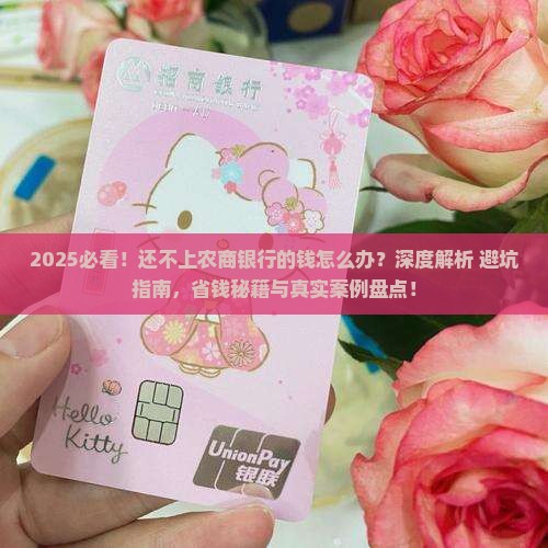 还不上农商银行的钱该怎么办