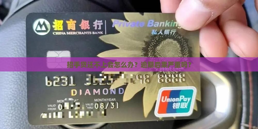 招手贷还不上会怎么办