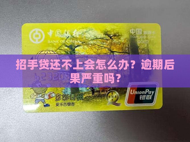 招手贷还不上会怎么办