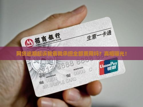 网贷逾期起诉我要我承担全部费用吗