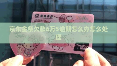 京东金条欠款6万5怎么办