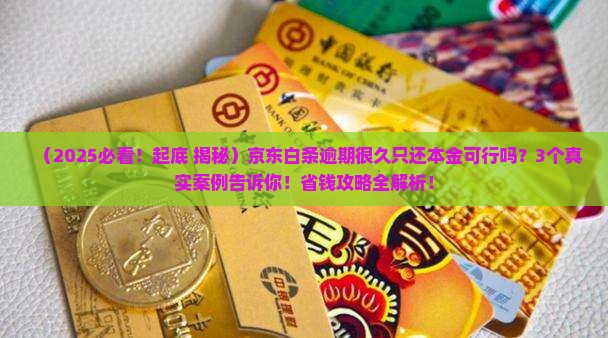 京东白条逾期很久只还本金可行吗