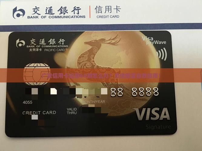 广发信用卡逾期60期应该怎么处理