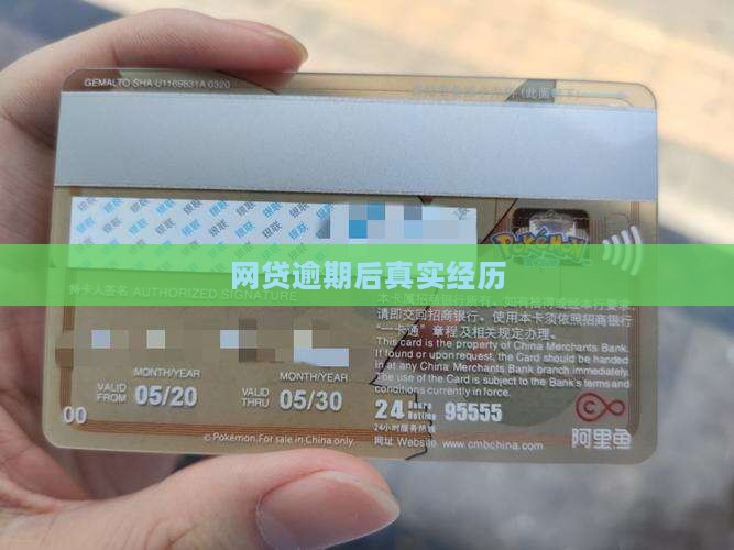 网贷逾期后真实经历