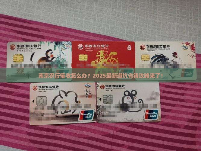 南京农业银行催收怎么办理